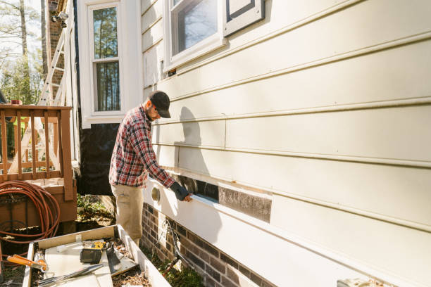 Top rated local Siding Repair specialists in Warren, MN